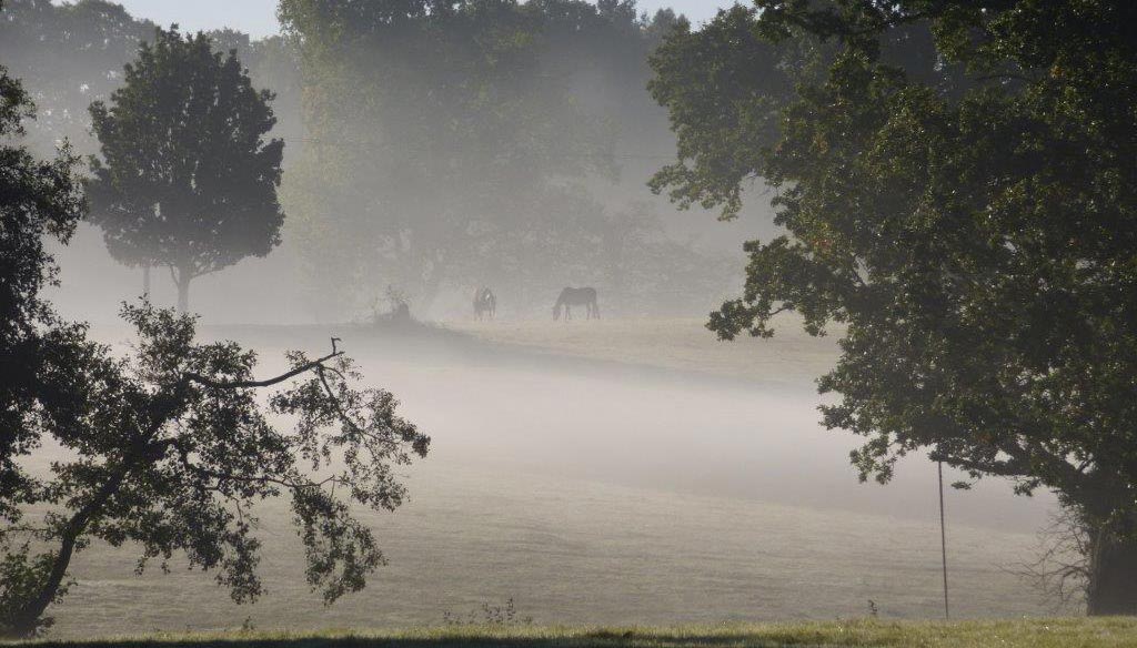 Misty Morning at Birchley House Farm our rural retreat