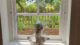 Birchley_House_Farm_Coach_Window_1022x582